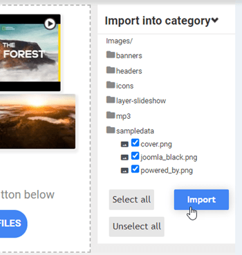 importer-selection