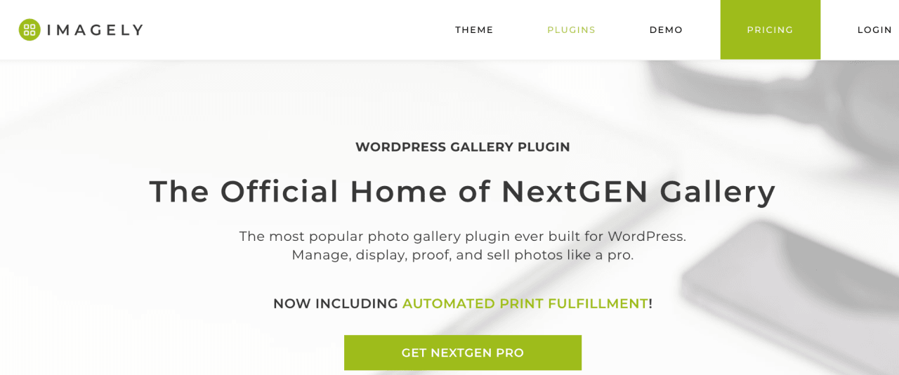 Plug-in da galeria de imagens WordPress da Galeria NextGEN