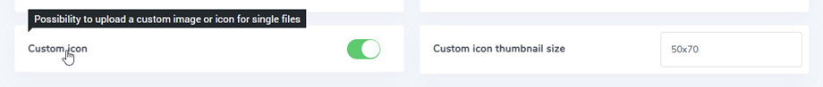 enable-custom-icon