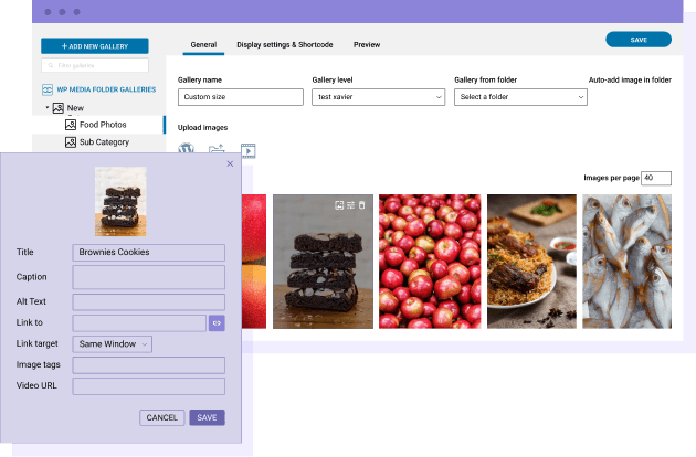 πληροφορίες εικόνας στη συλλογή