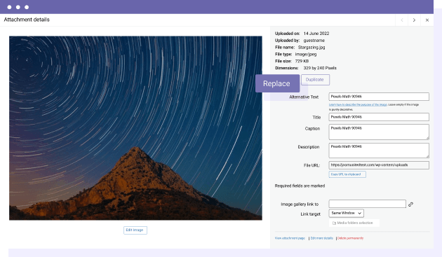 Разрешить пользователям заменять существующие медиафайлы