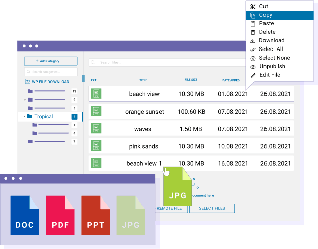 Easy to use WordPress file manager