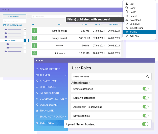 Controlla il caricamento dei file per ruolo utente di WordPress