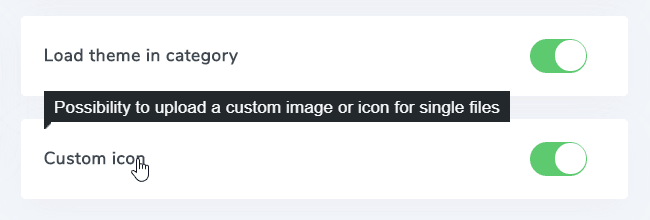 enable-custom-icona