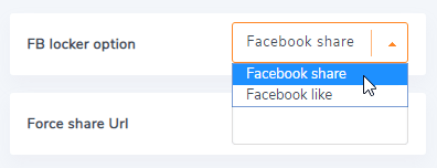 Facbook-Option