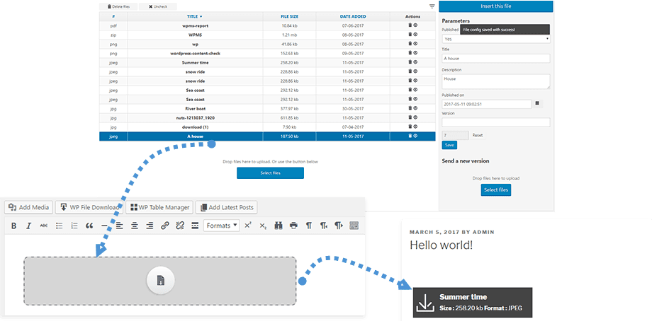 WP-file-download-light