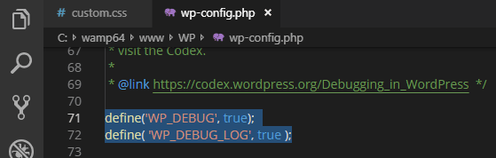 wp-debug-true