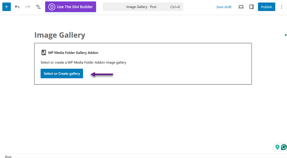 اختيار المعرض - كيفية إنشاء معرض صور في ووردبريس (خطوة بخطوة)