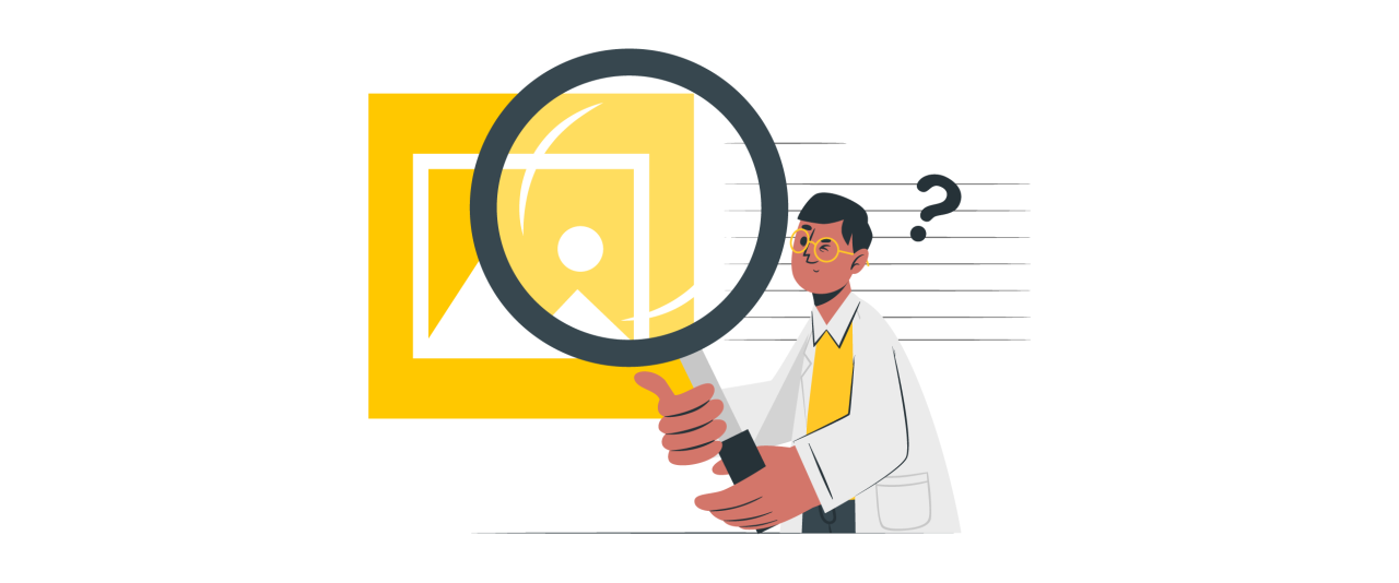 كيفية إضافة تكبير للصور في ووردبريس 