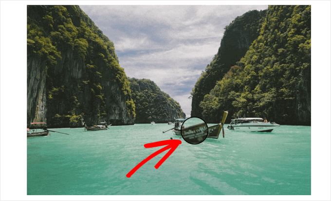 عرض توضيحي - كيفية إضافة تكبير للصور في ووردبريس 