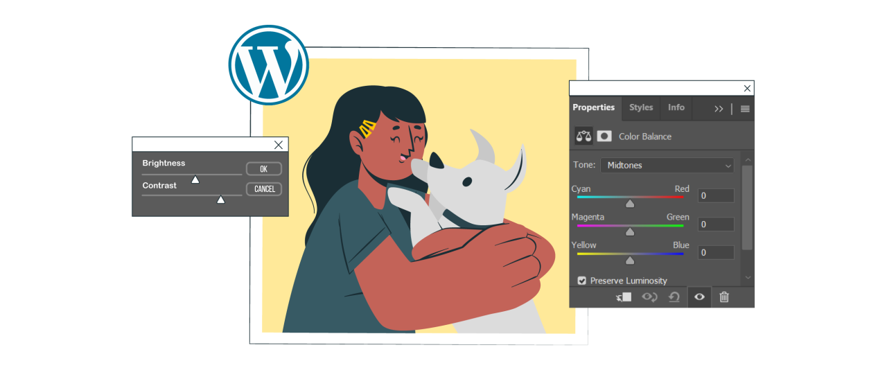 كيفية إصلاح فقدان لون الصورة وتشبعها في ووردبريس