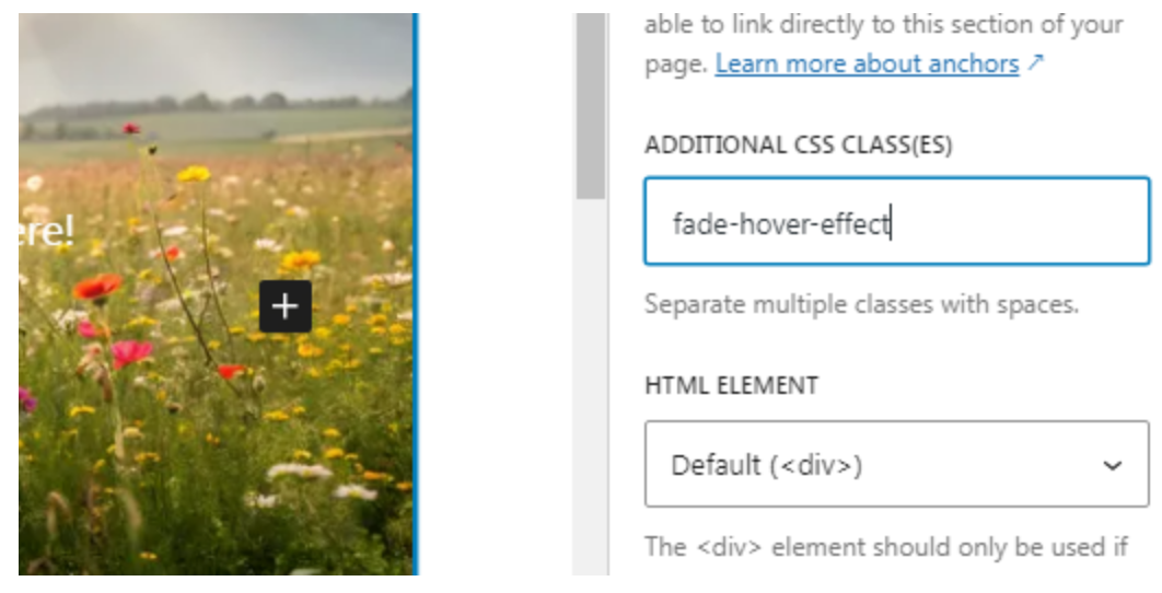 Advanced Section in the Gutenberg Editor Settings
