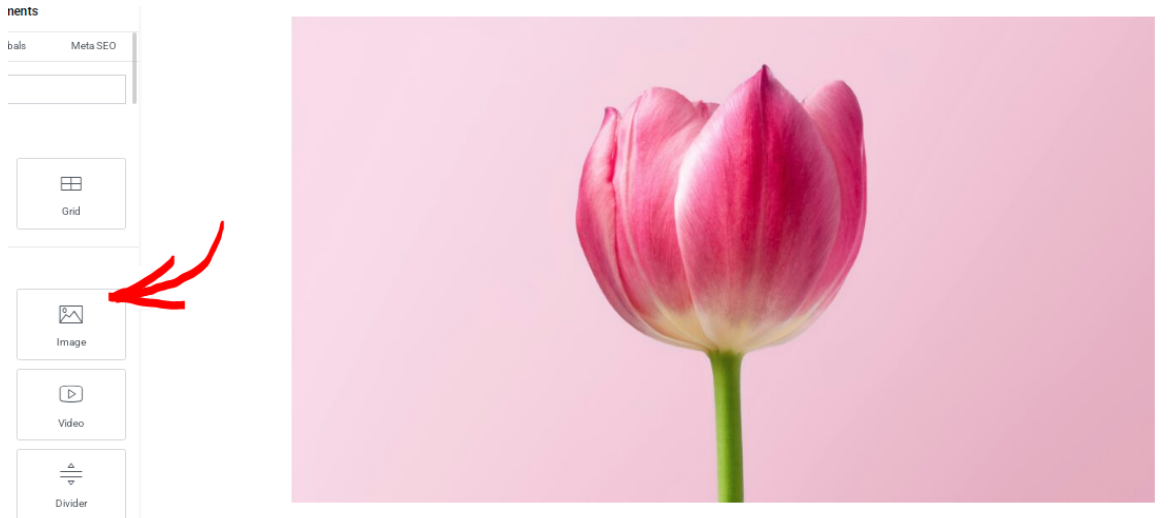 Create Image Hover Effects in WordPress using Page Builders