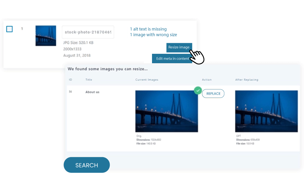 WP Meta SEO Fix the image HTML resizing