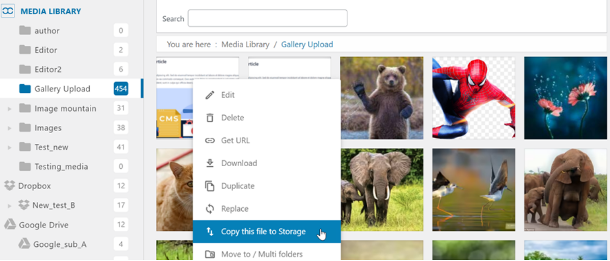 Copying File to a Folder in the Media Library