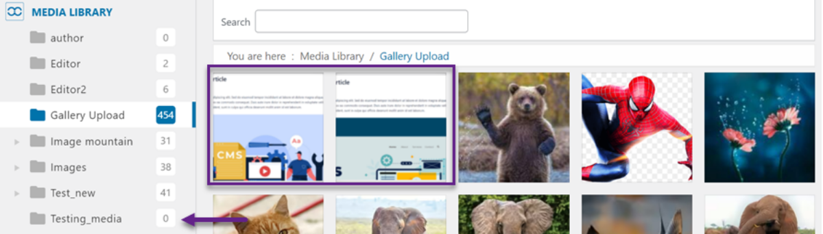 Files successfully moved to Gallery Upload folder