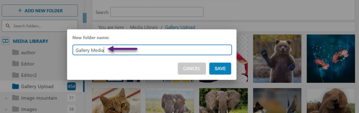 Rename Folder