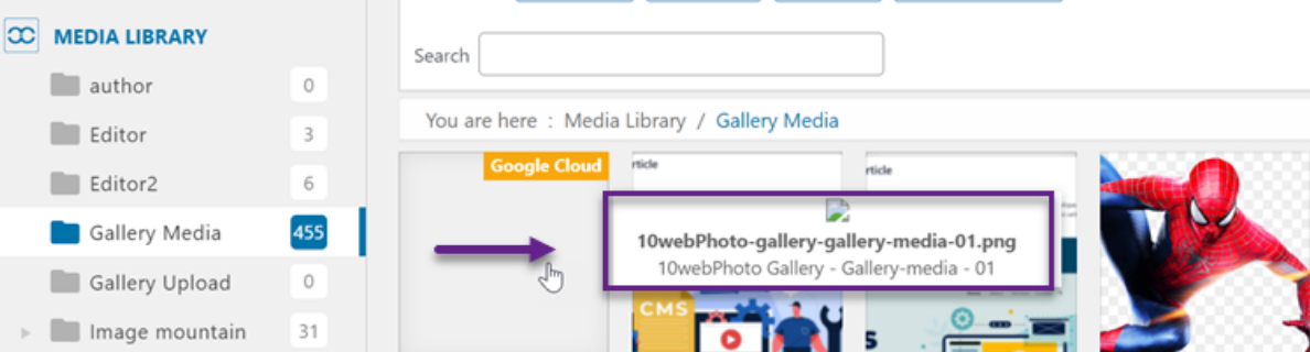 WP Media Folder File Name Changed Detail