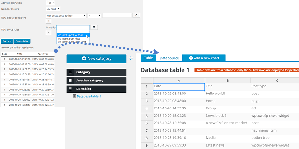 database-table-options