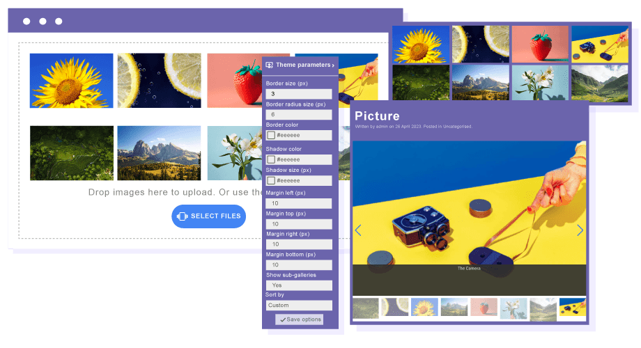 Gallery Themes and Image edition