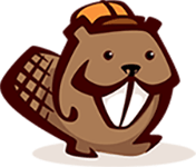 Beaver Builder WP speed of light