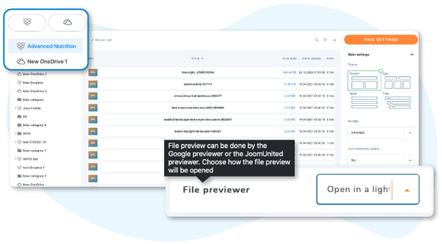 File previewer for cloud files