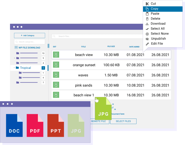 Easy to use WordPress file manager