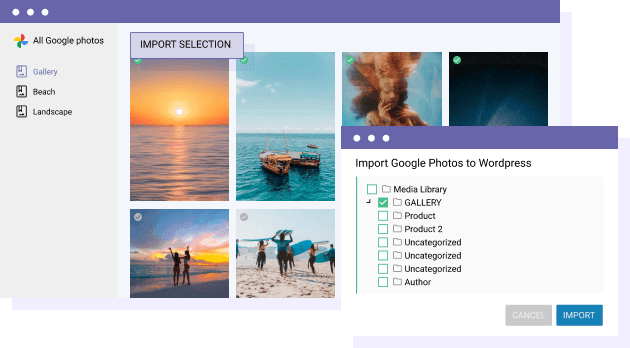 Import Google Photos selection in a WordPress media folder