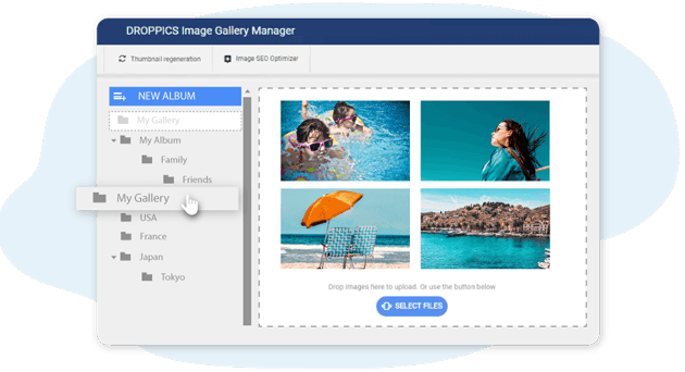 Image and Video Multi-Level Galleries