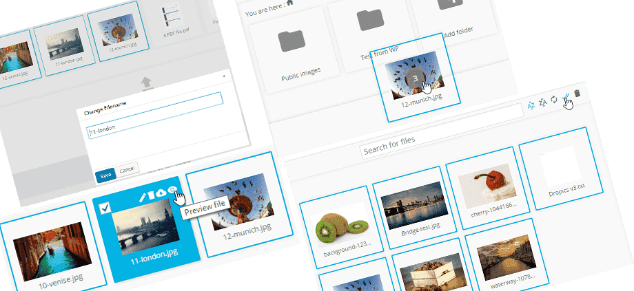 all-action-google-files