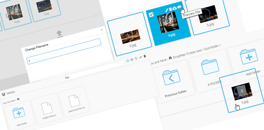 dropbox-file-management